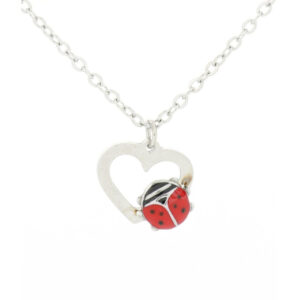Collana con Pendente Cuore Aperto e Coccinella Portafortuna in Acciaio