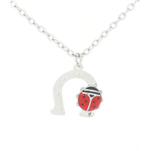 Collana con Pendente Ferro di Cavallo e Coccinella Portafortuna in Acciaio