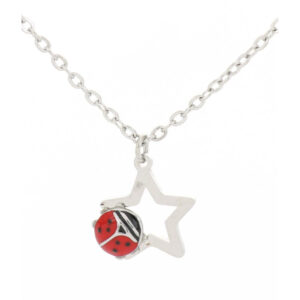 Collana con Pendente Stella e Coccinella Portafortuna in Acciaio